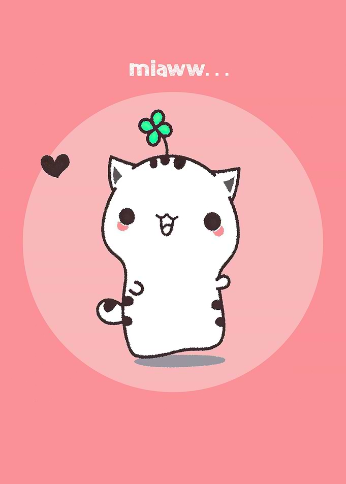 cute cat