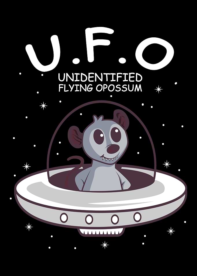 Unidentified Flying Opossu