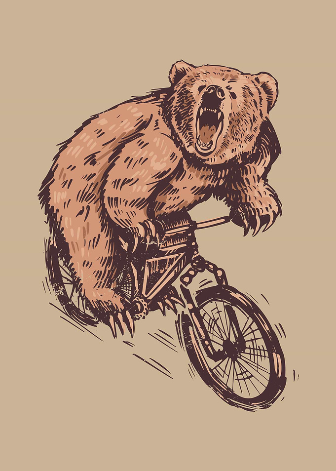 BICYCLE Bear