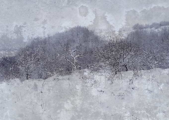 Winter silence