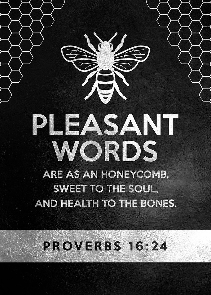 Proverbs 16 24