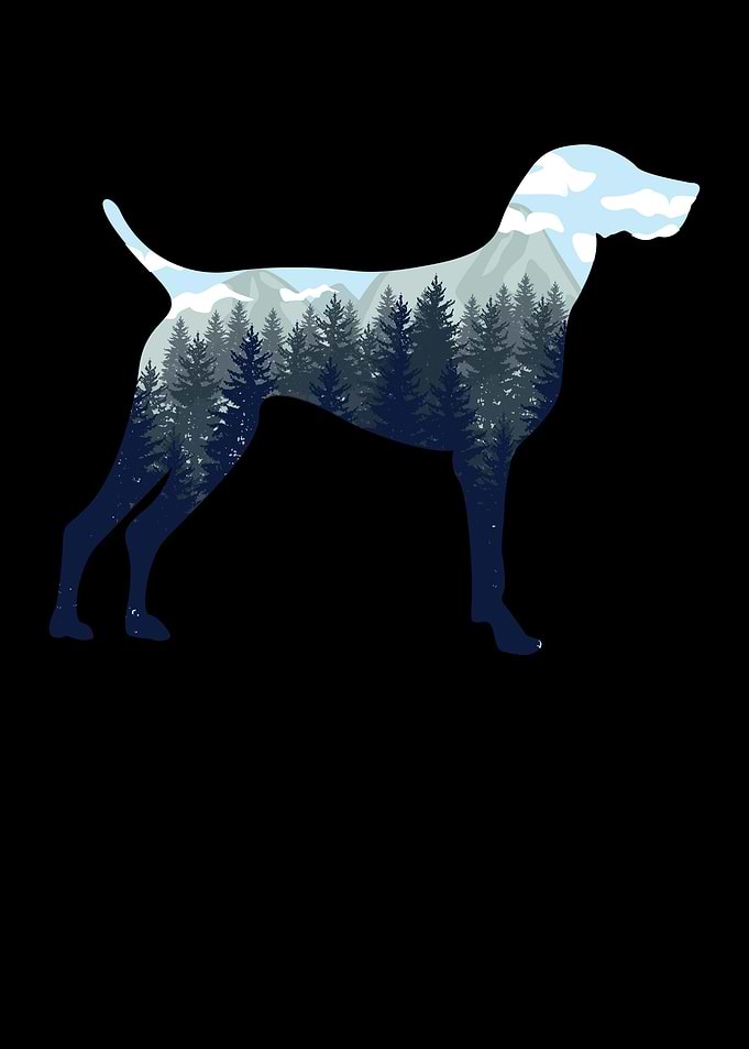 German Shorthair Pointer