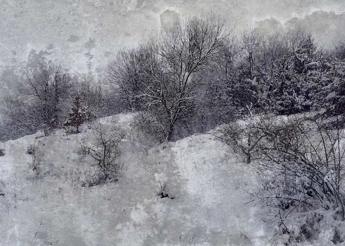 Winter adventure