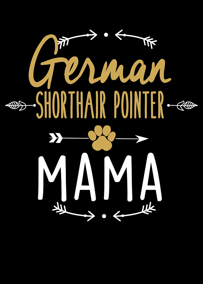 German Shorthair Pointer