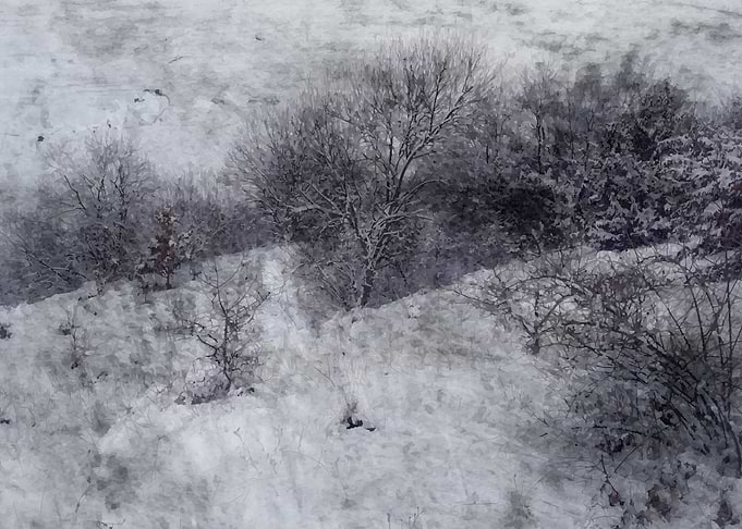 Winter tale