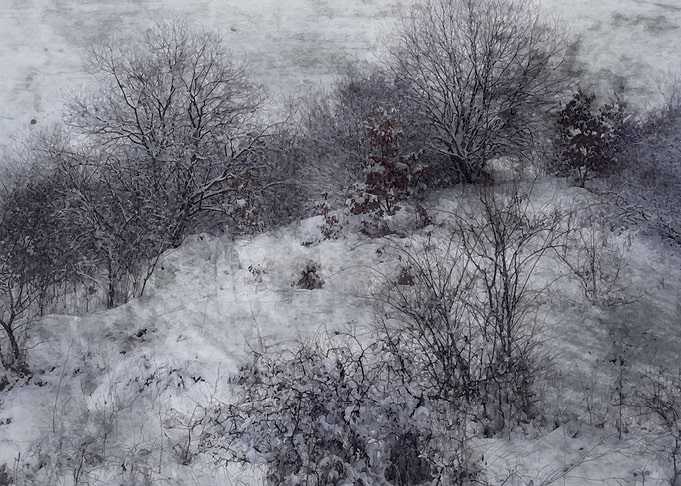 Winter dream