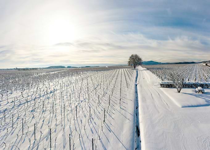 Snowcovered hills