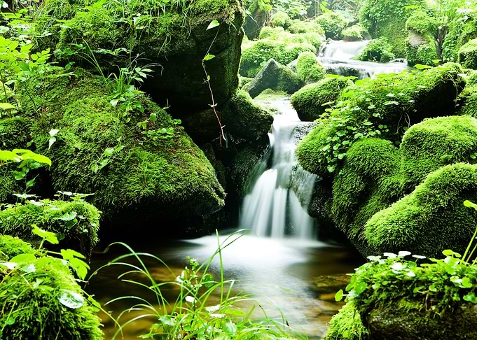 Green Flow