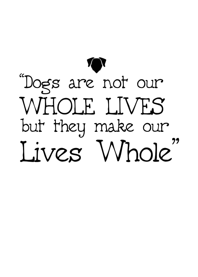 Dogs Are Not Out Whole