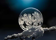 Ice land