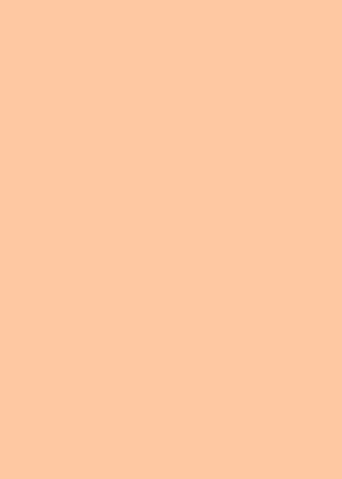 Color 255 200 160