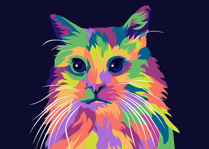 colorful cat