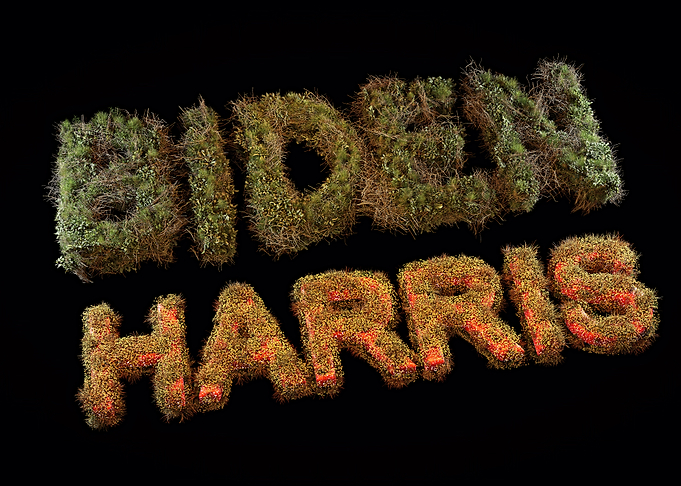 Biden Harris presidency