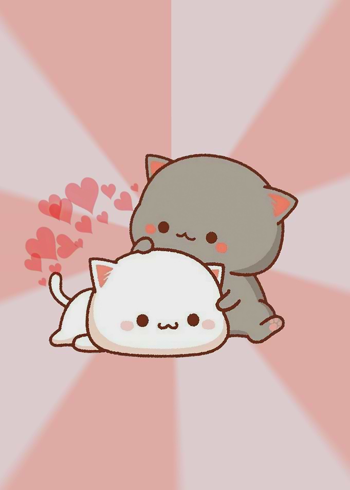 cute cat