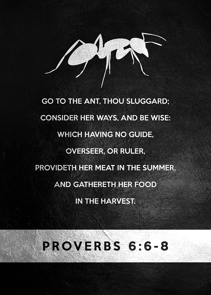 Proverbs 6 6 8