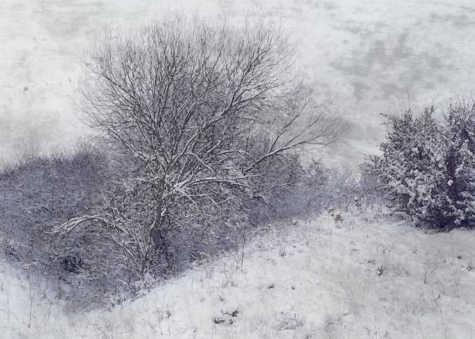 Winter memories