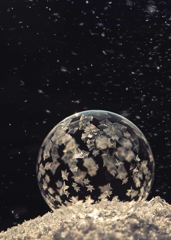 Ice land
