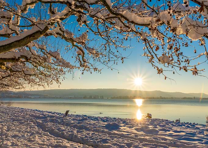 winter sun
