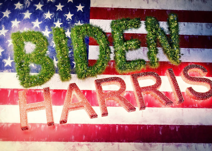Biden Harris Flag Scene
