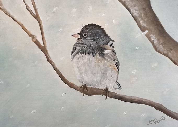 Snowbird In The Blizzard
