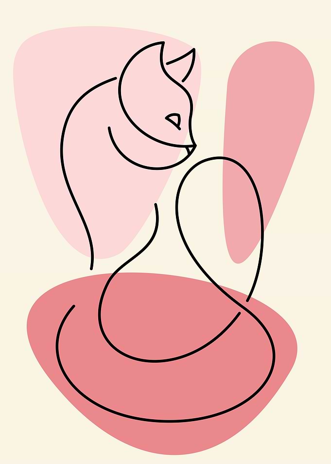 Cat Line Art
