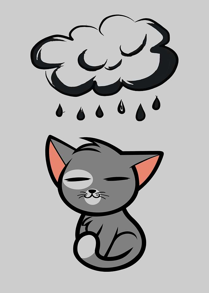 cute cat