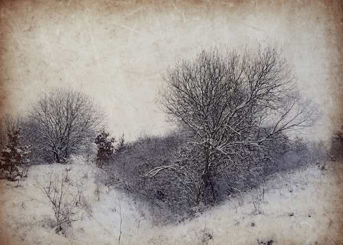 Winter postcard
