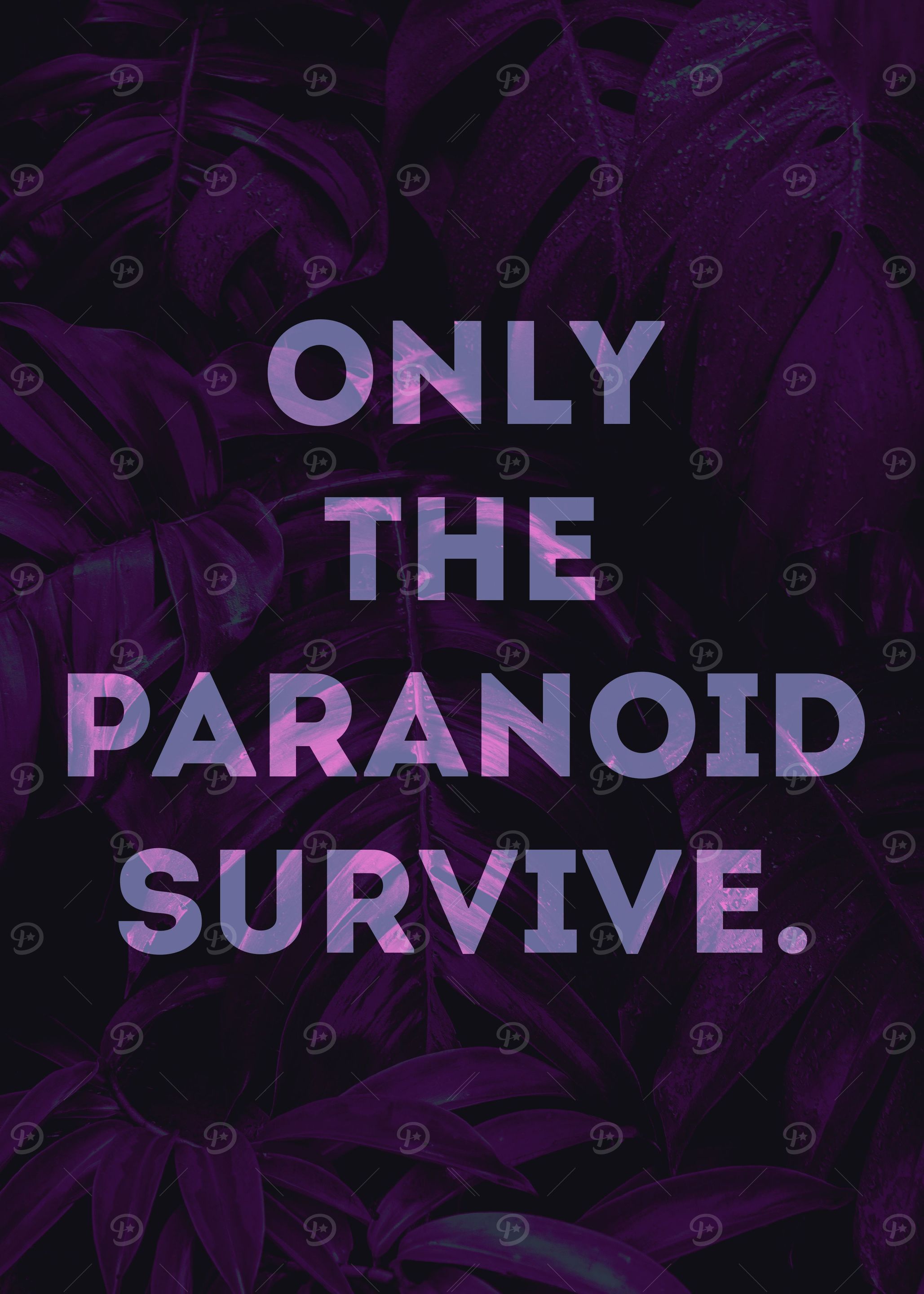 Quote V5