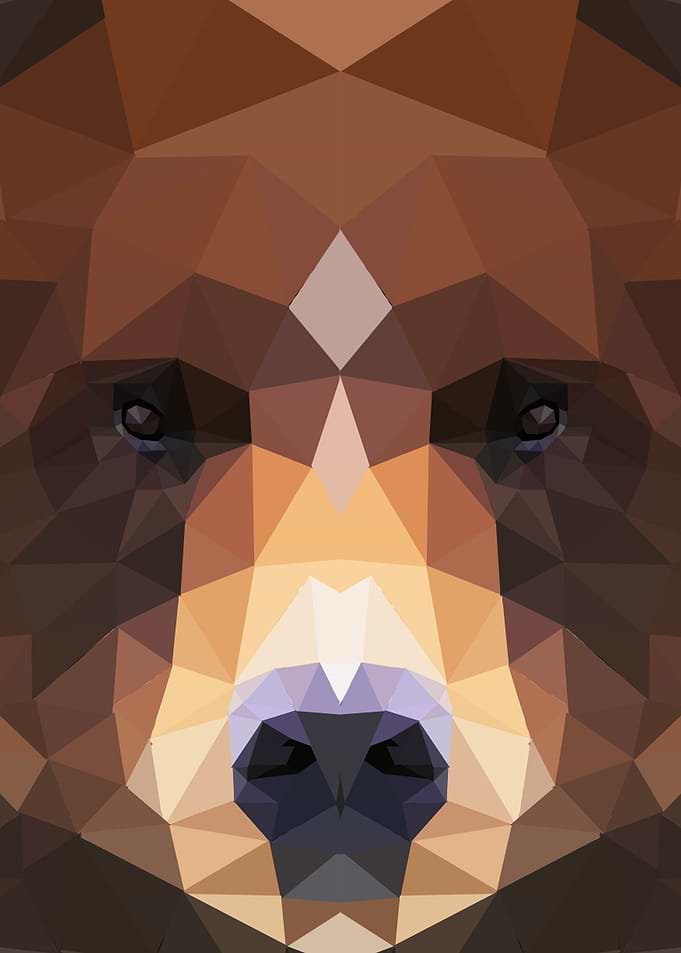 Low Poly Bear