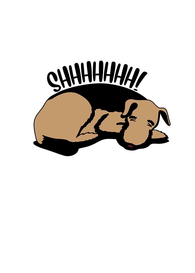 Shhhhhh Sleeping Dog