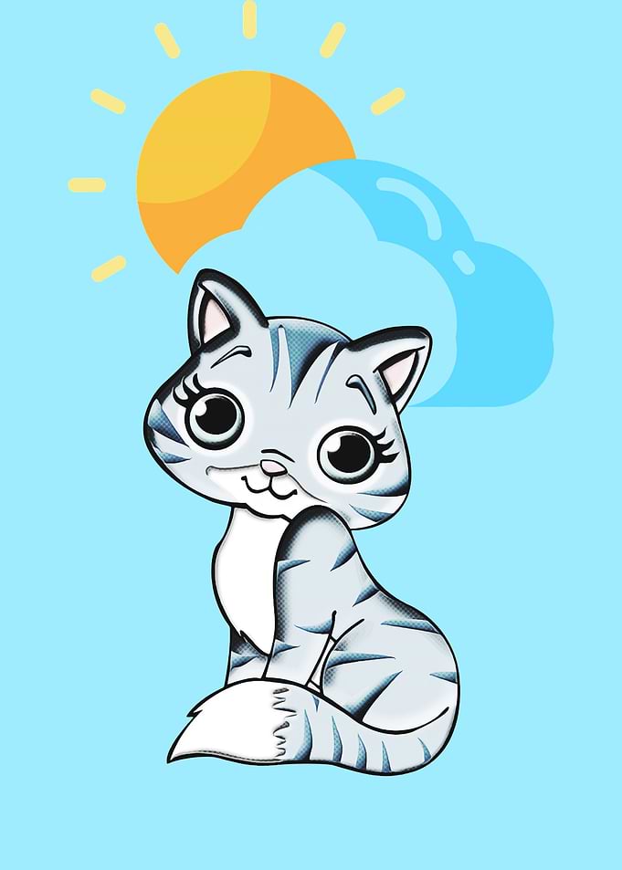 cute cat