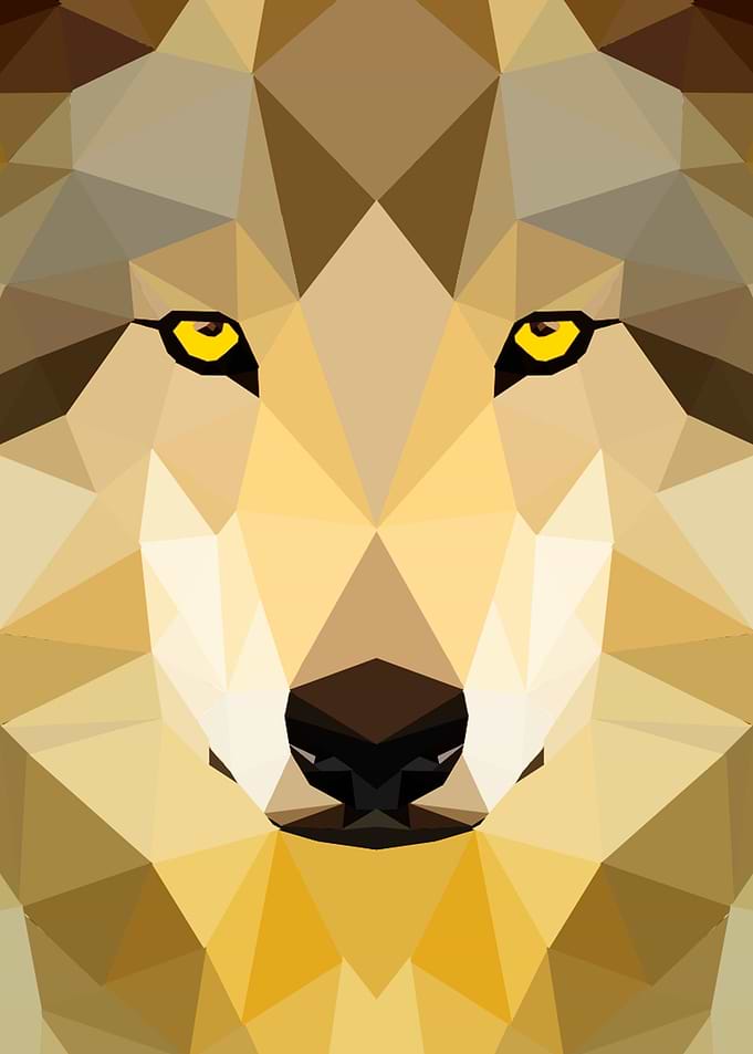 Low Poly Wolf