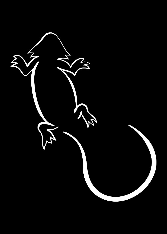 Bearded Dragon Mom Dad I