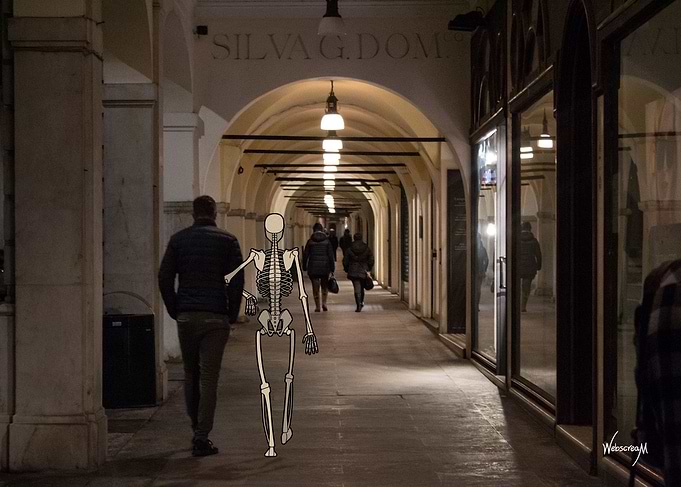 Busy Skeletons Couple