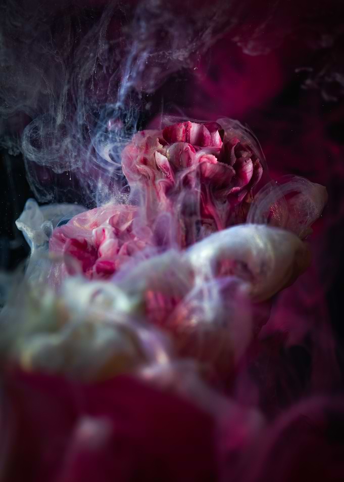 Magical Flowers
