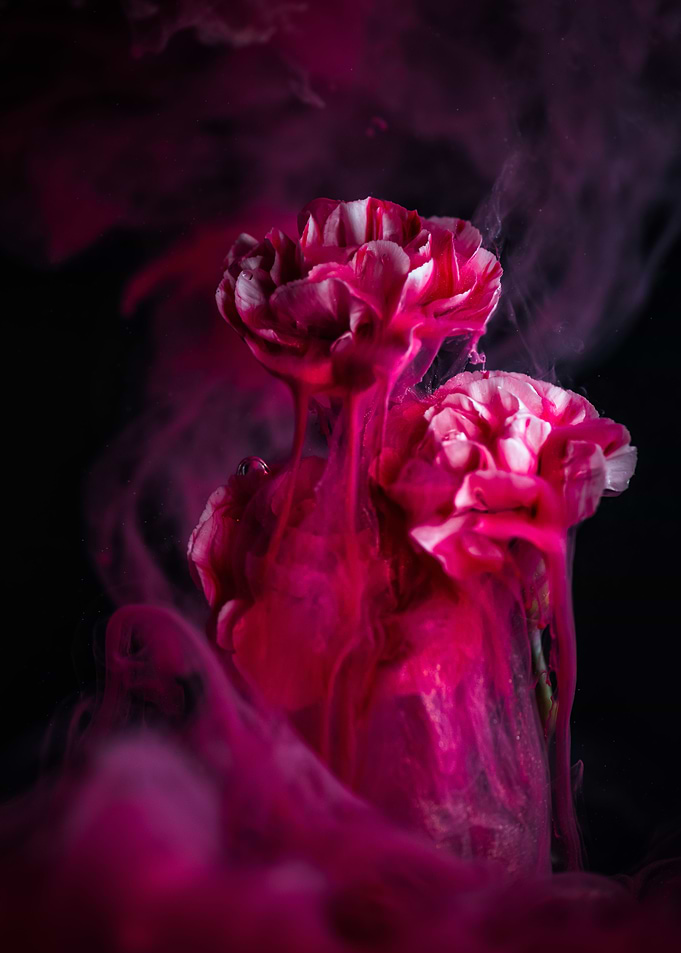 Magical Flowers