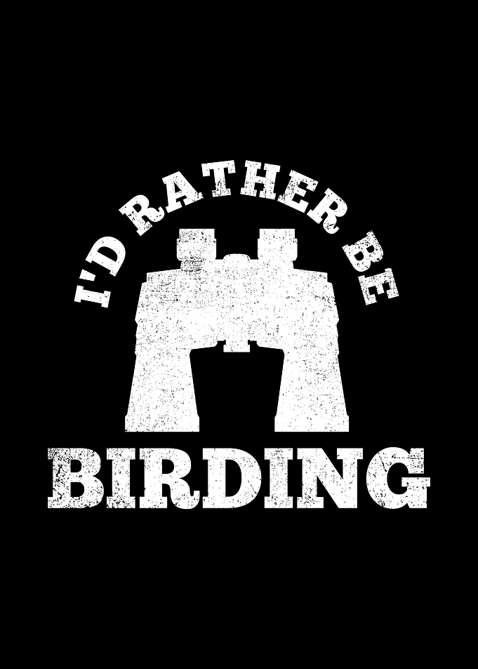 Birding Birdwatching Birdw