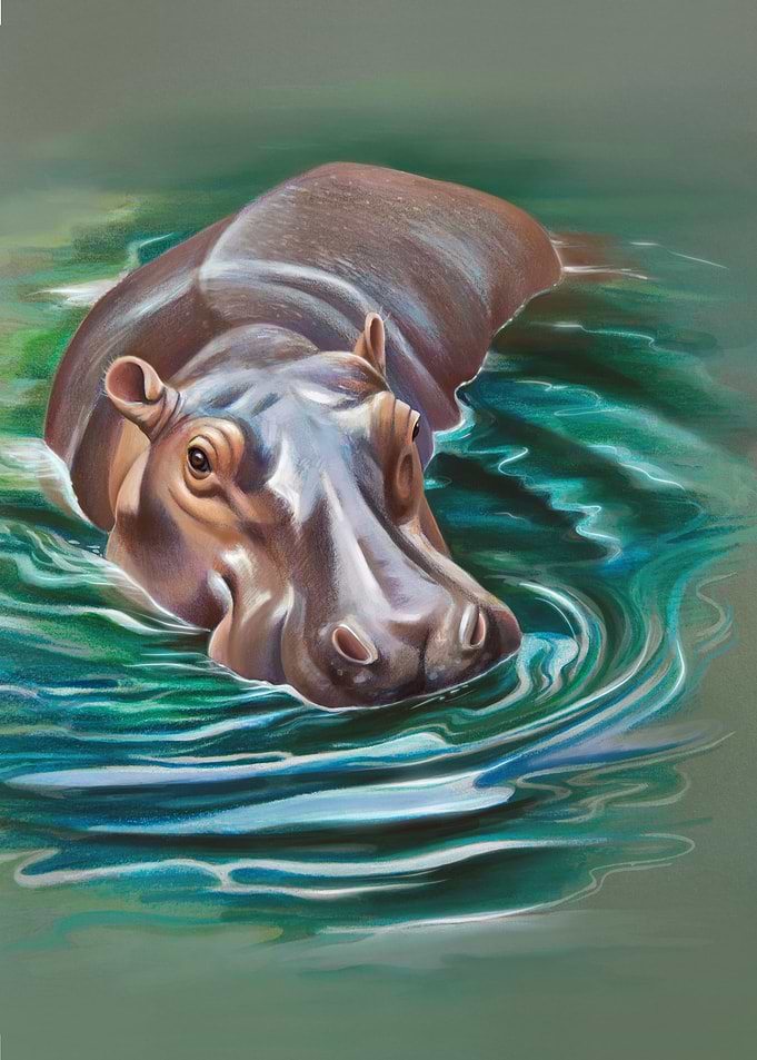 Portrait of a hippopotamus