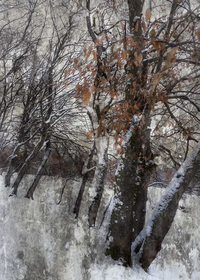 Deep cold