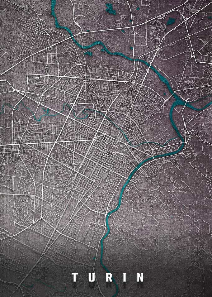 Turin City Map