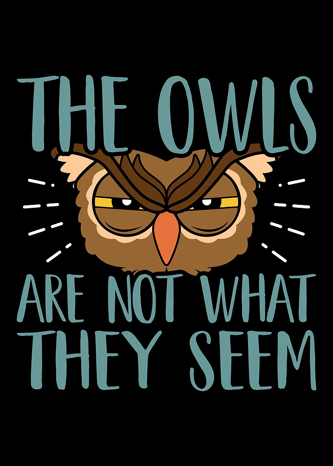 Owl