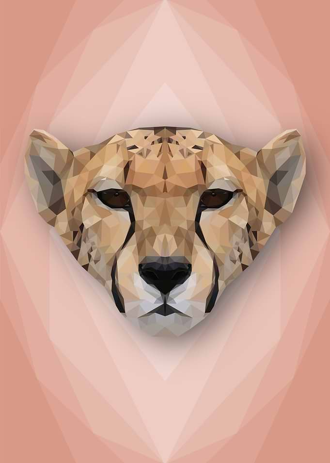 Cheeky Cheetah