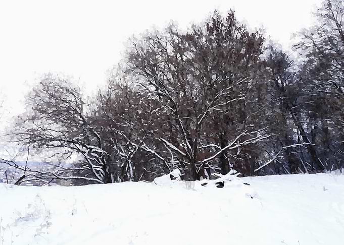Snow