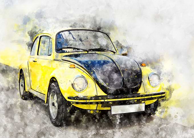 Beetle Yellow Black Racer