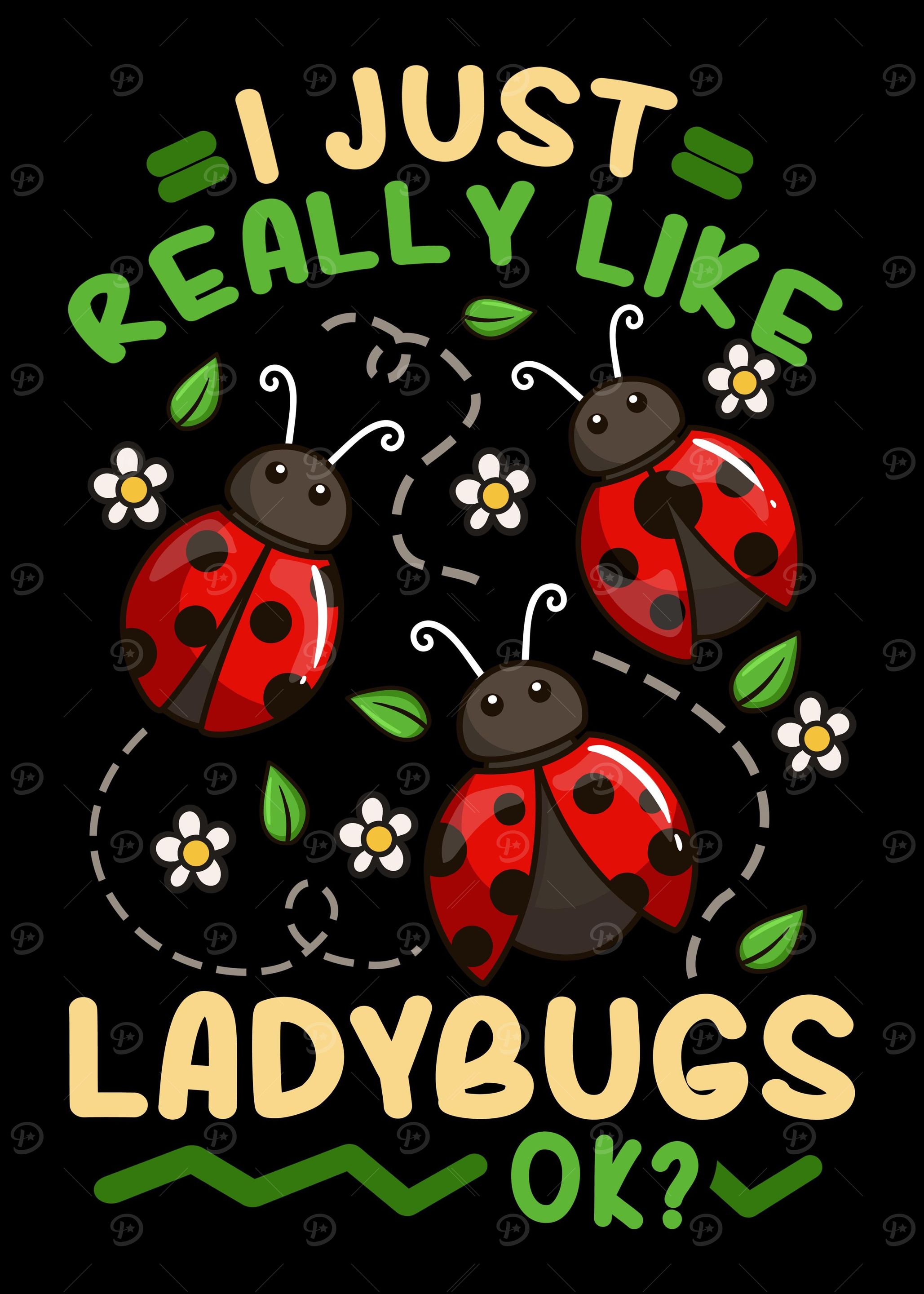 Ladybug Insect Entomology