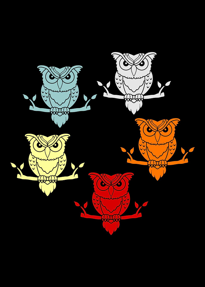Owl Bird Cute Gift Idea