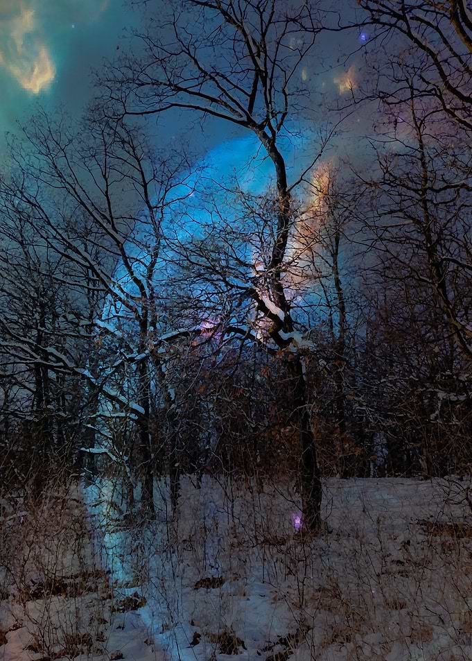 WInter dream