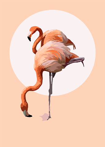 Flamingo