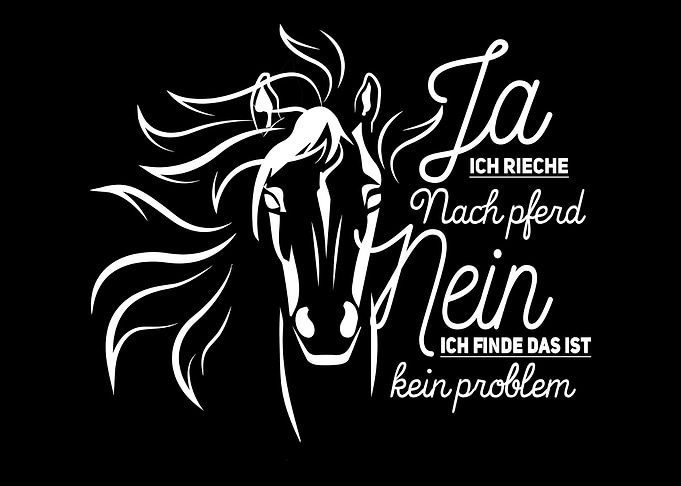 Pferde Geschenk