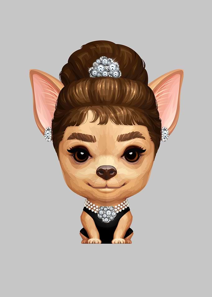 Tiffany the Chihuahua